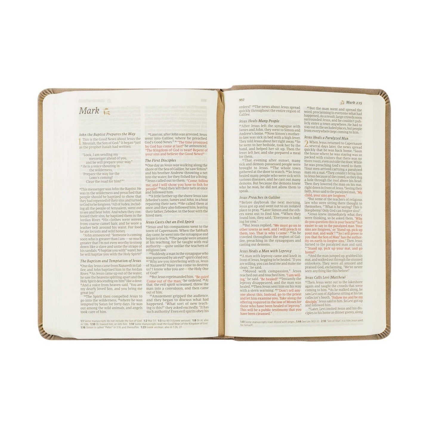 Marlo Theme | NLT Compact Bible