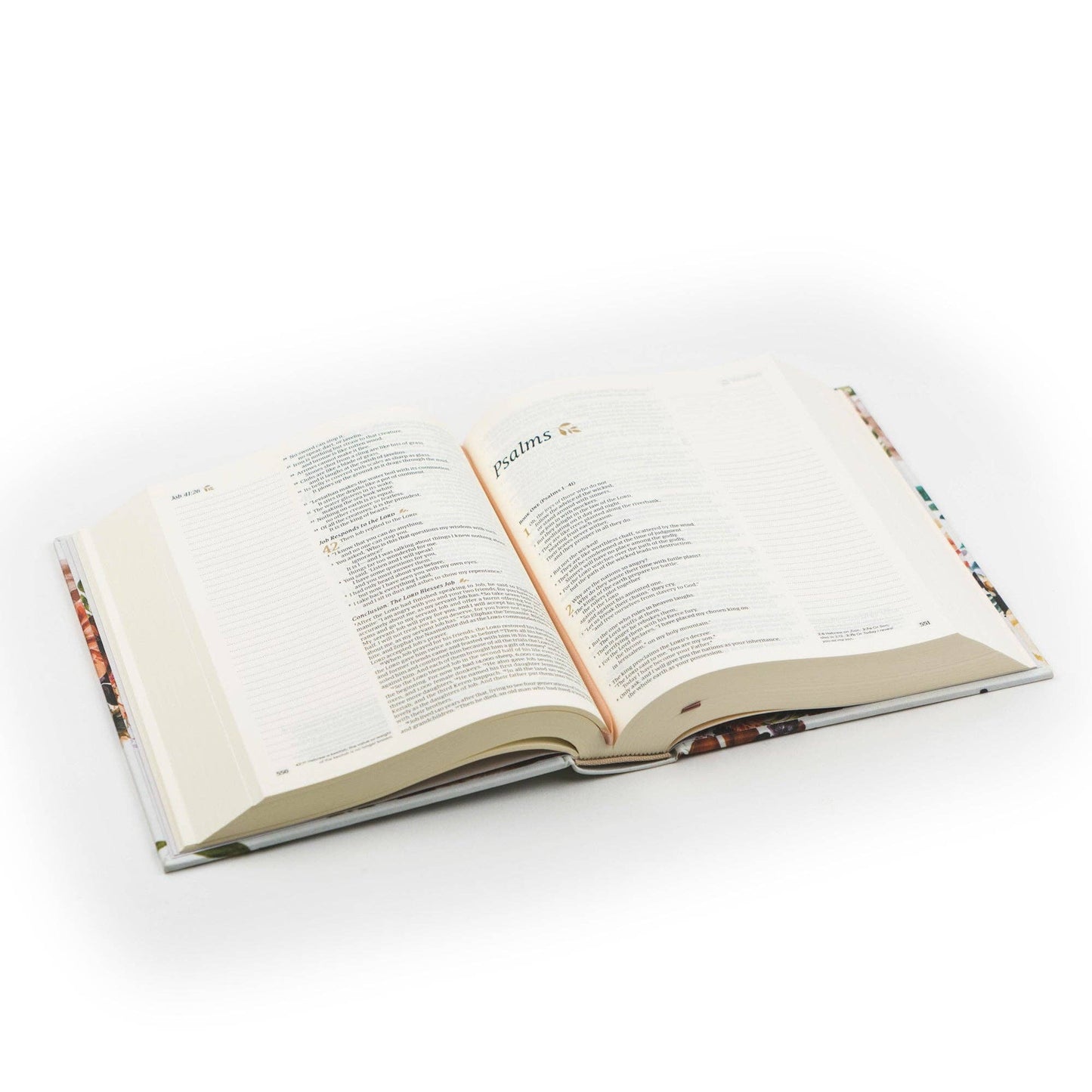 Madrid Theme | NLT Note-taking Bible