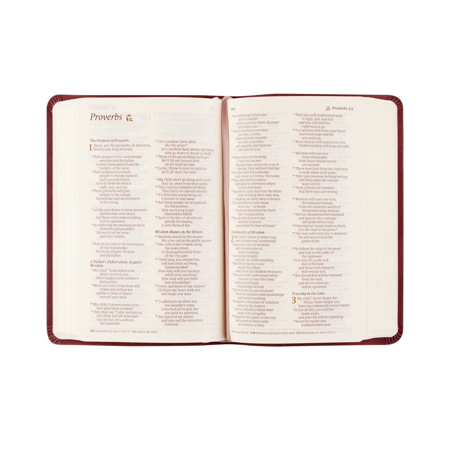 Helena Theme | NLT Compact Bible