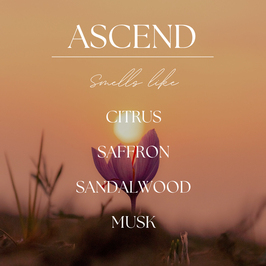 Ascend | Golden Santal | 9oz