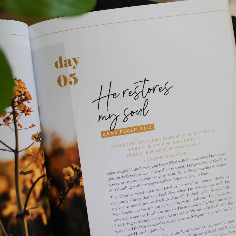 He Leads Me | Psalm 23
