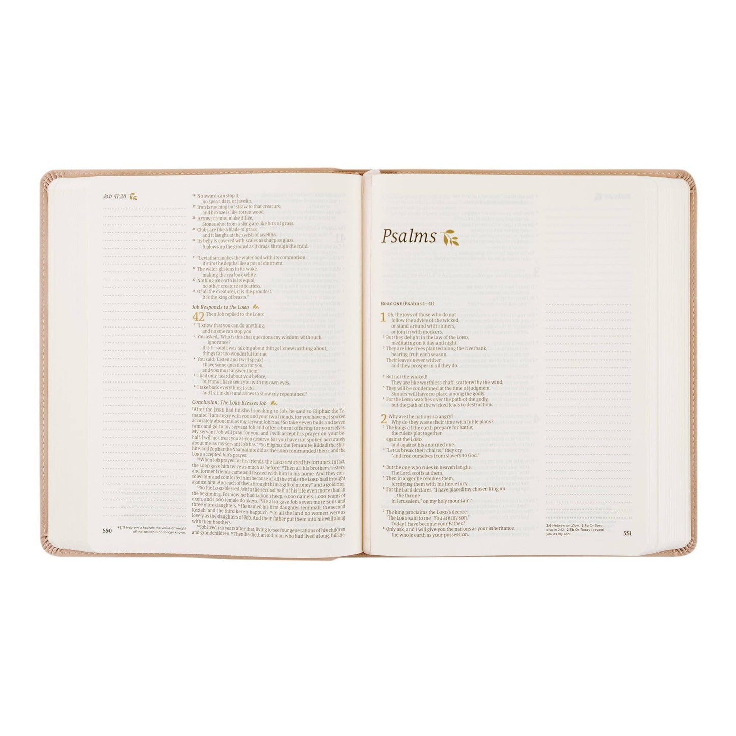 Shiloh Theme | NLT Notetaking Bible