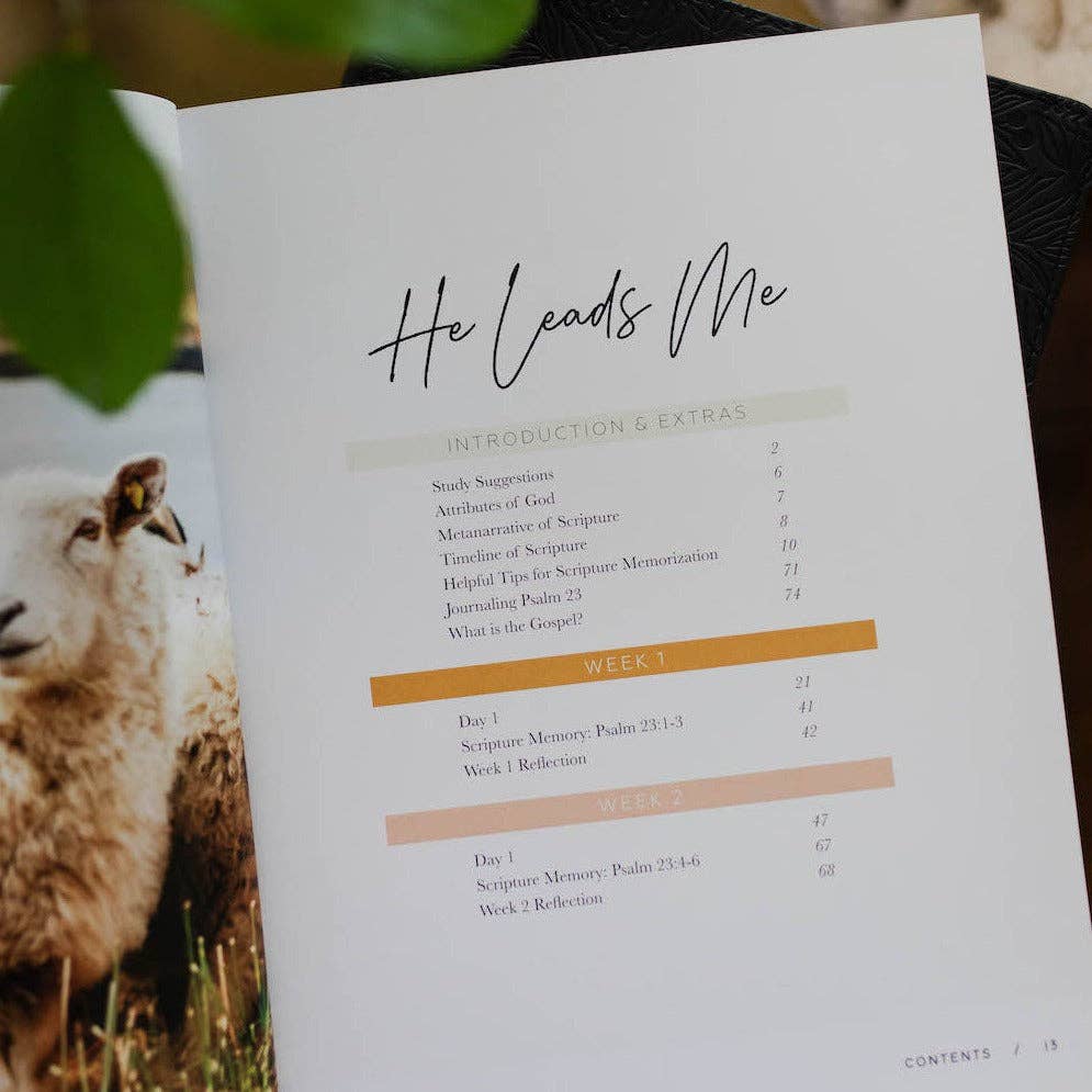 He Leads Me | Psalm 23