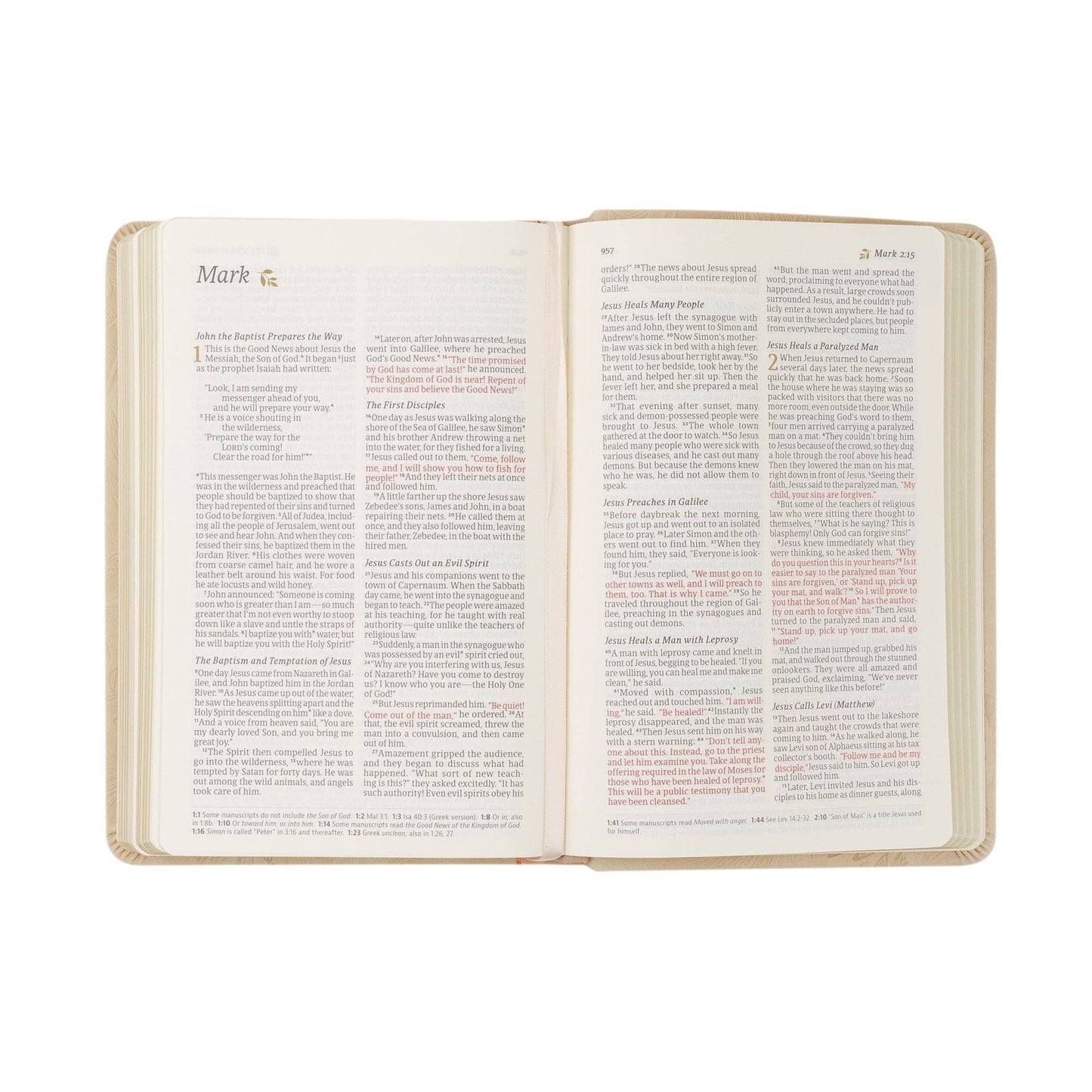 Sonora Theme | NLT Compact Bible