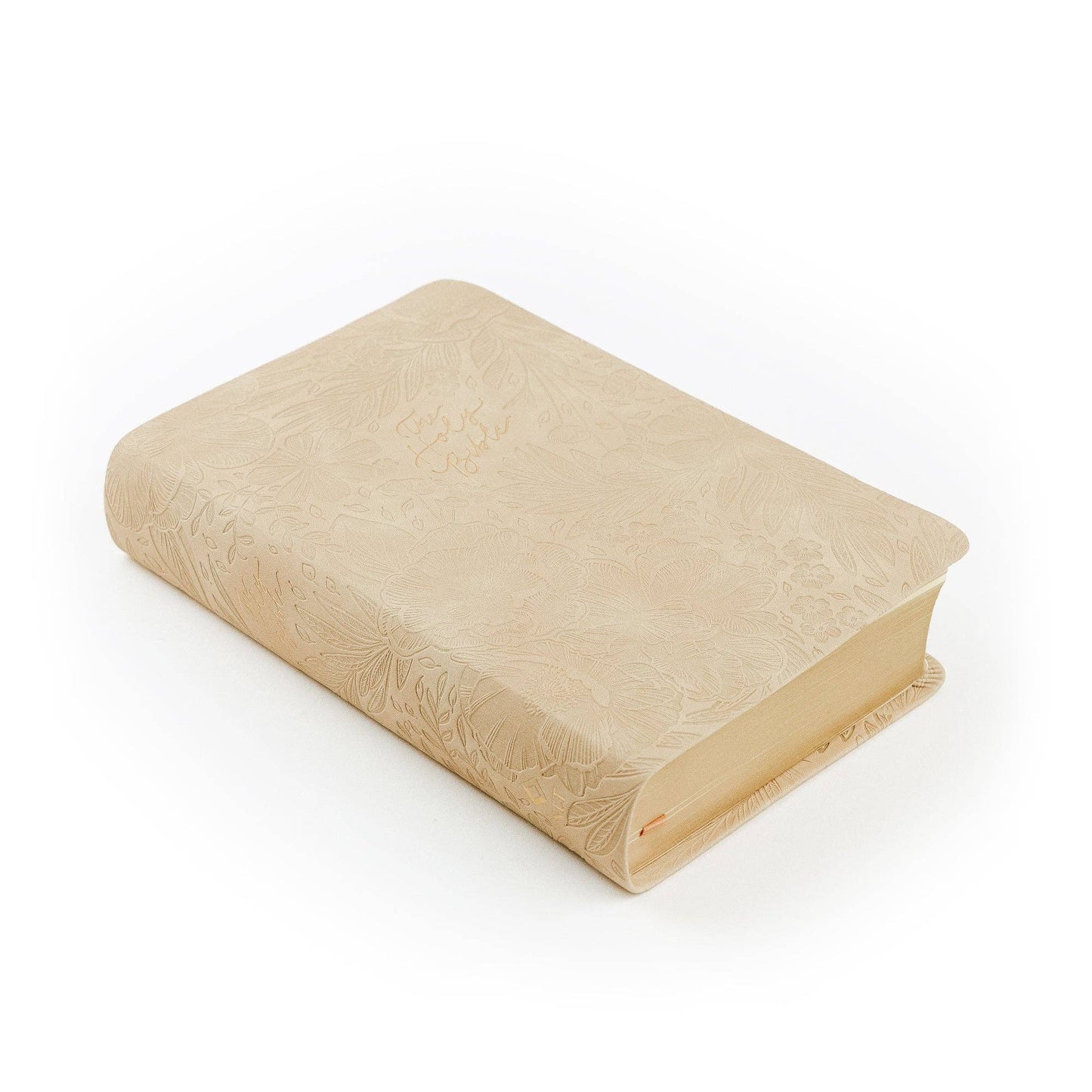 Sonora Theme | NLT Compact Bible