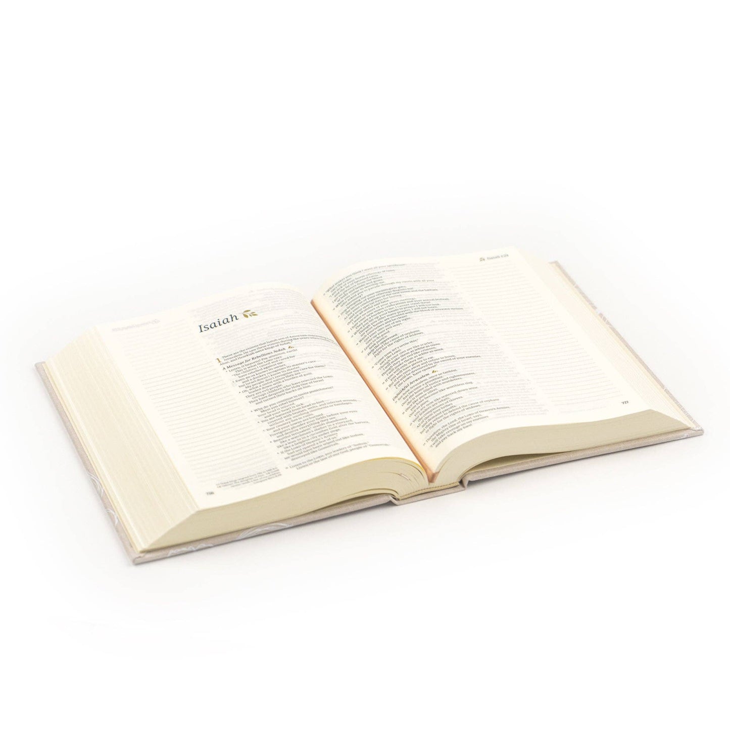Cordova Theme | NLT Notetaking Bible