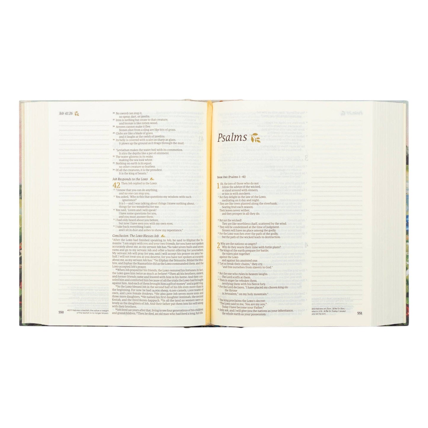 Coram Theme | NLT Notetaking Bible