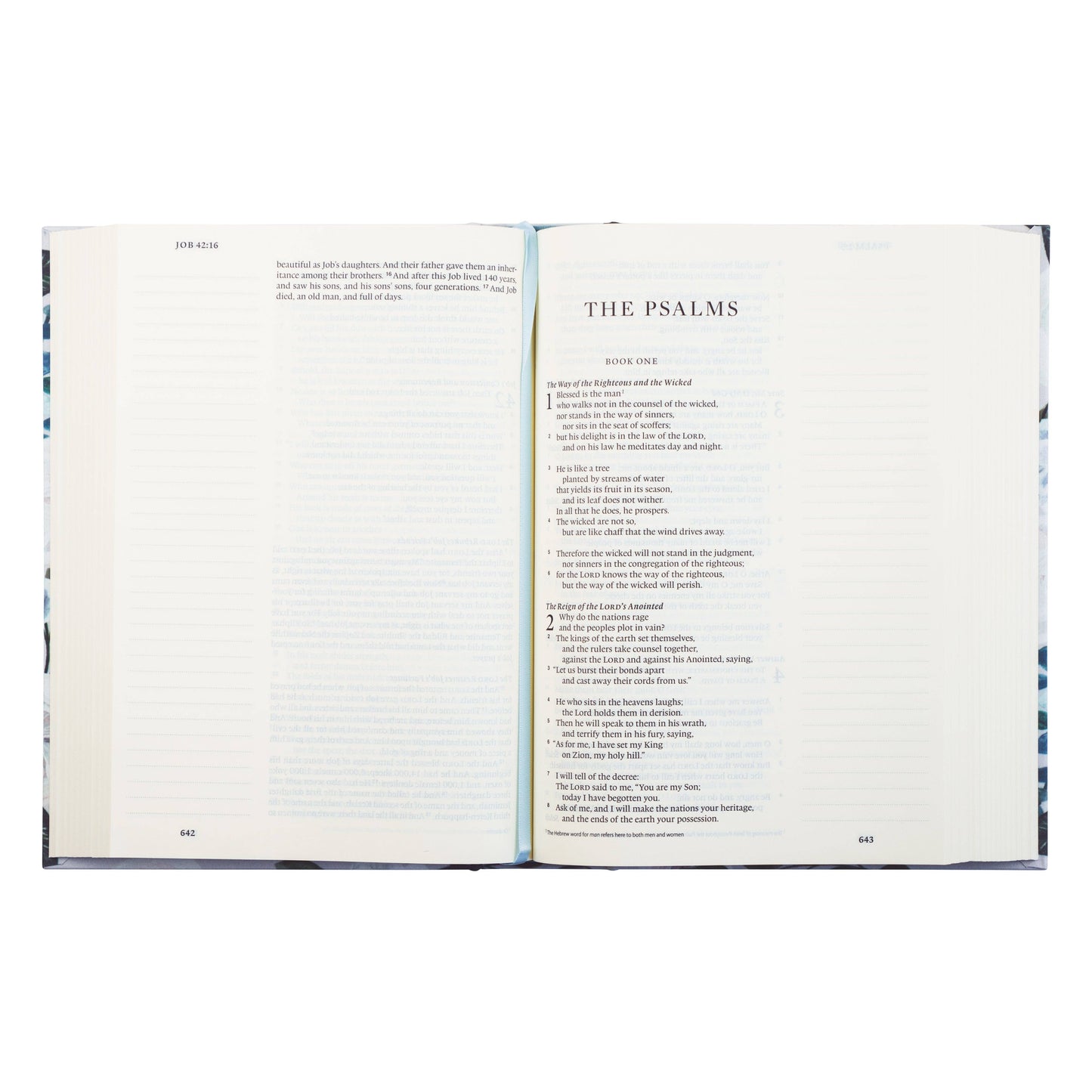 Victoria Theme | ESV Large Print Journaling Bible