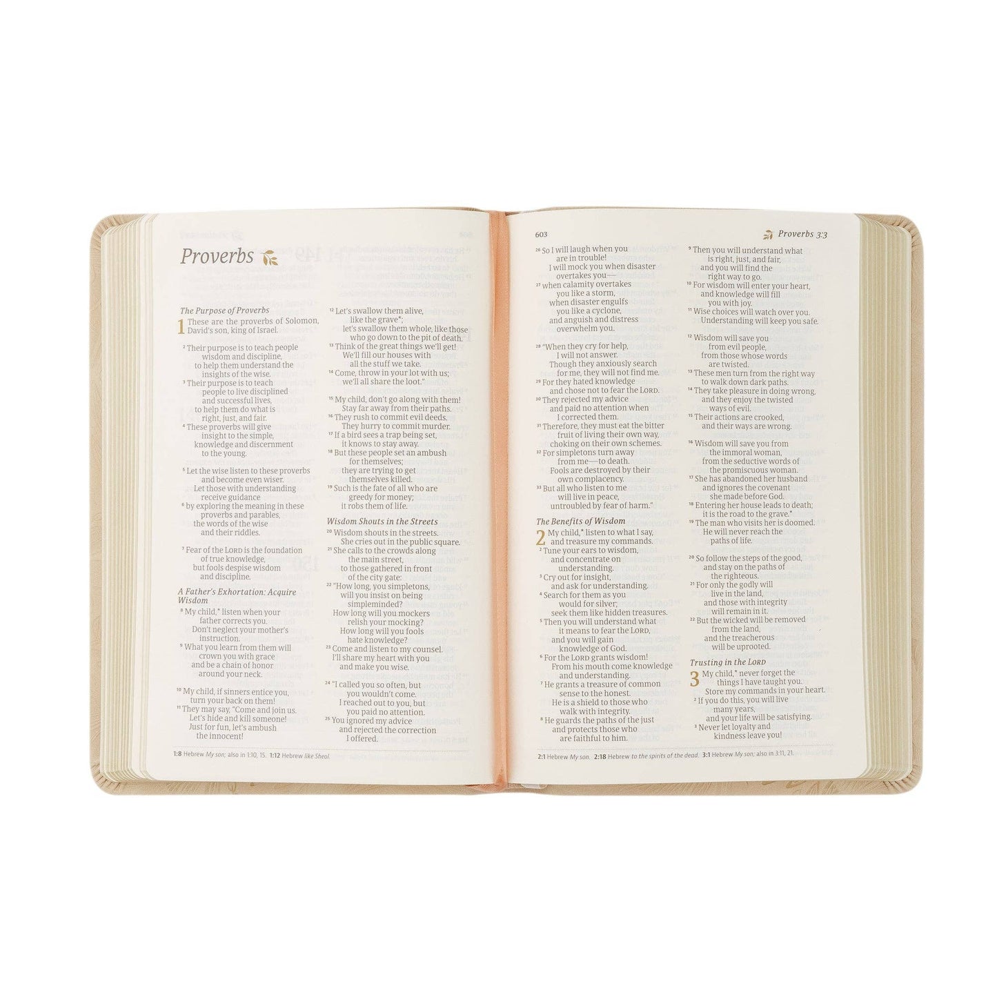 Sonora Theme | NLT Compact Bible
