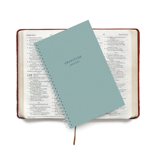 Gratitude Journal, Pool Blue