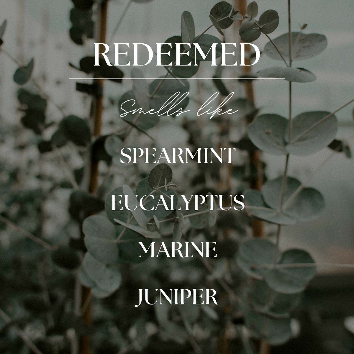 Redeemed | Eucalyptus & Mint | 9 oz.