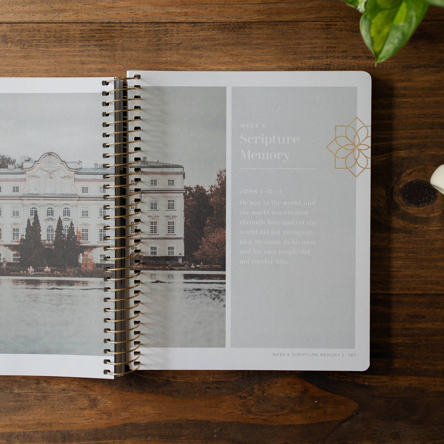 Come and See | An Invitation to Know and Trust Jesus More than Ever Before