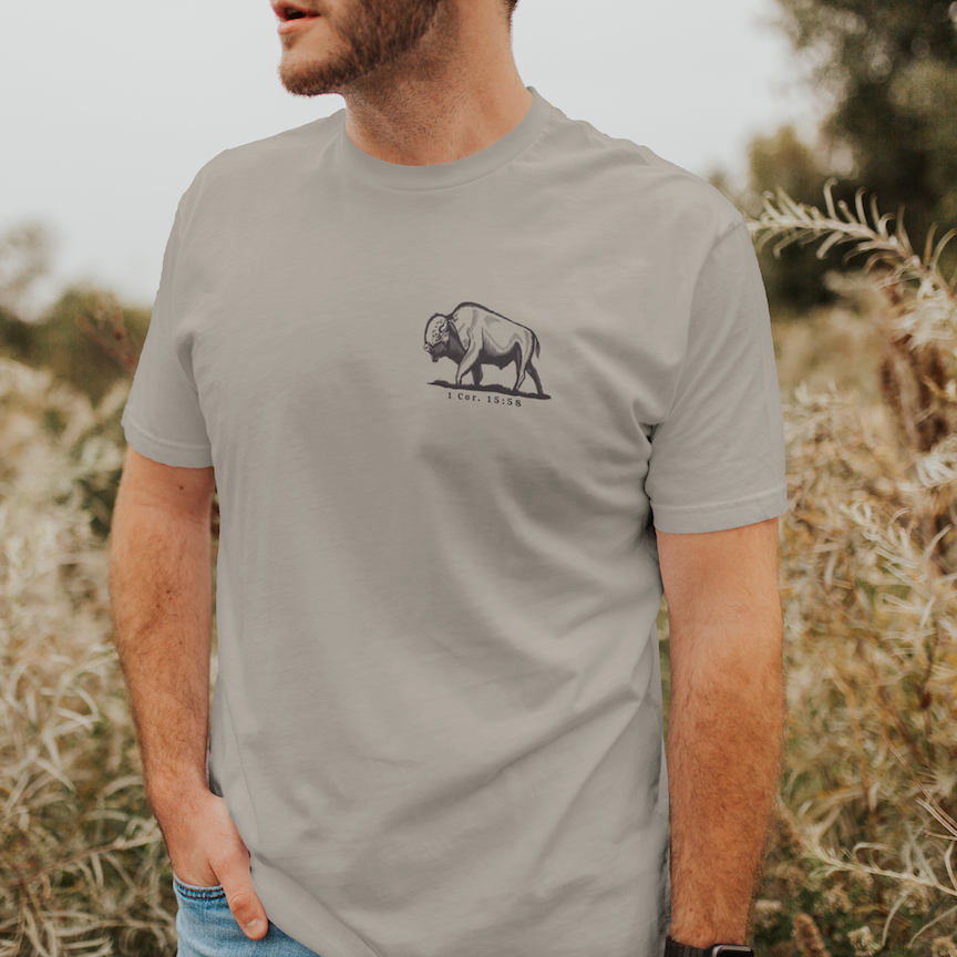 Be Strong and Steadfast Buffalo Christian Graphic Tee