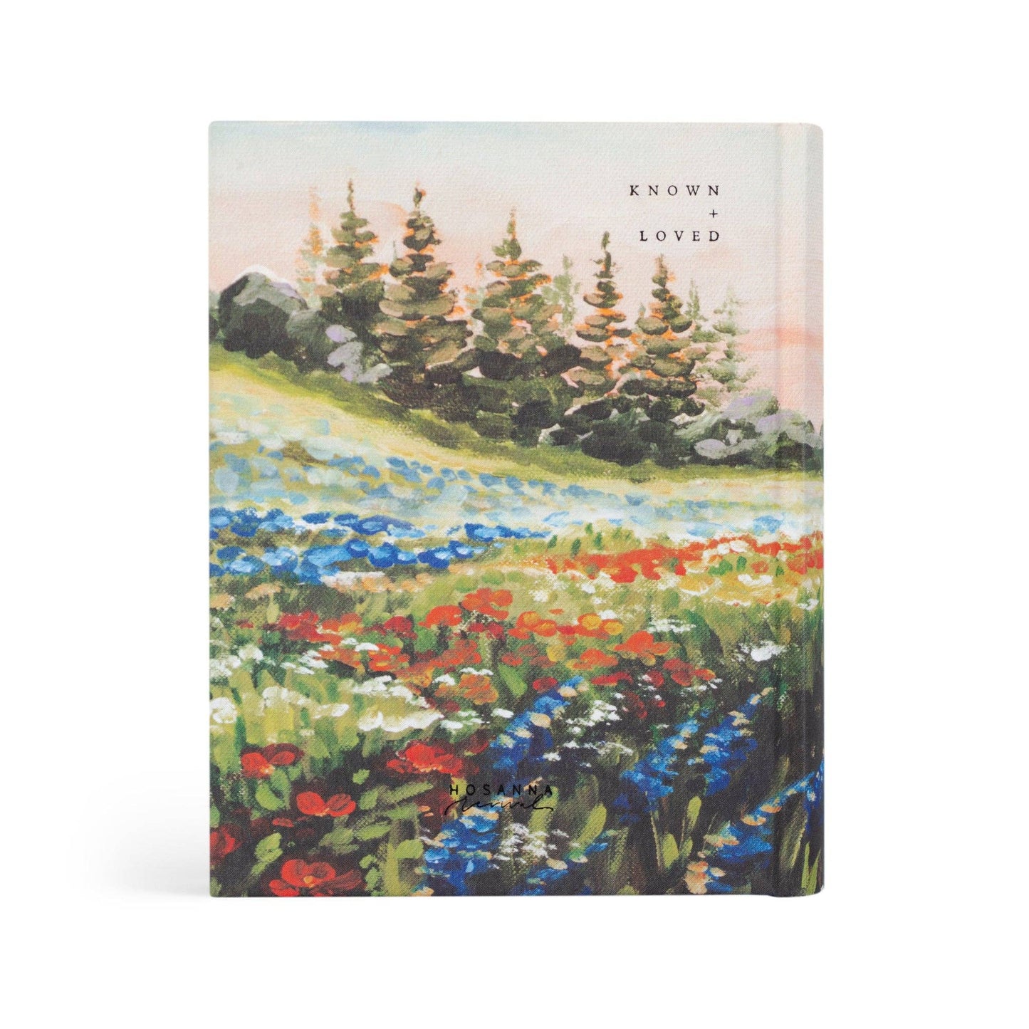 Coram Theme | NLT Notetaking Bible