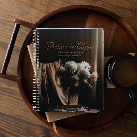 Peaks and Valleys: Learning to Look to Christ in Life's Highs and Lows | A Study on the Life of David