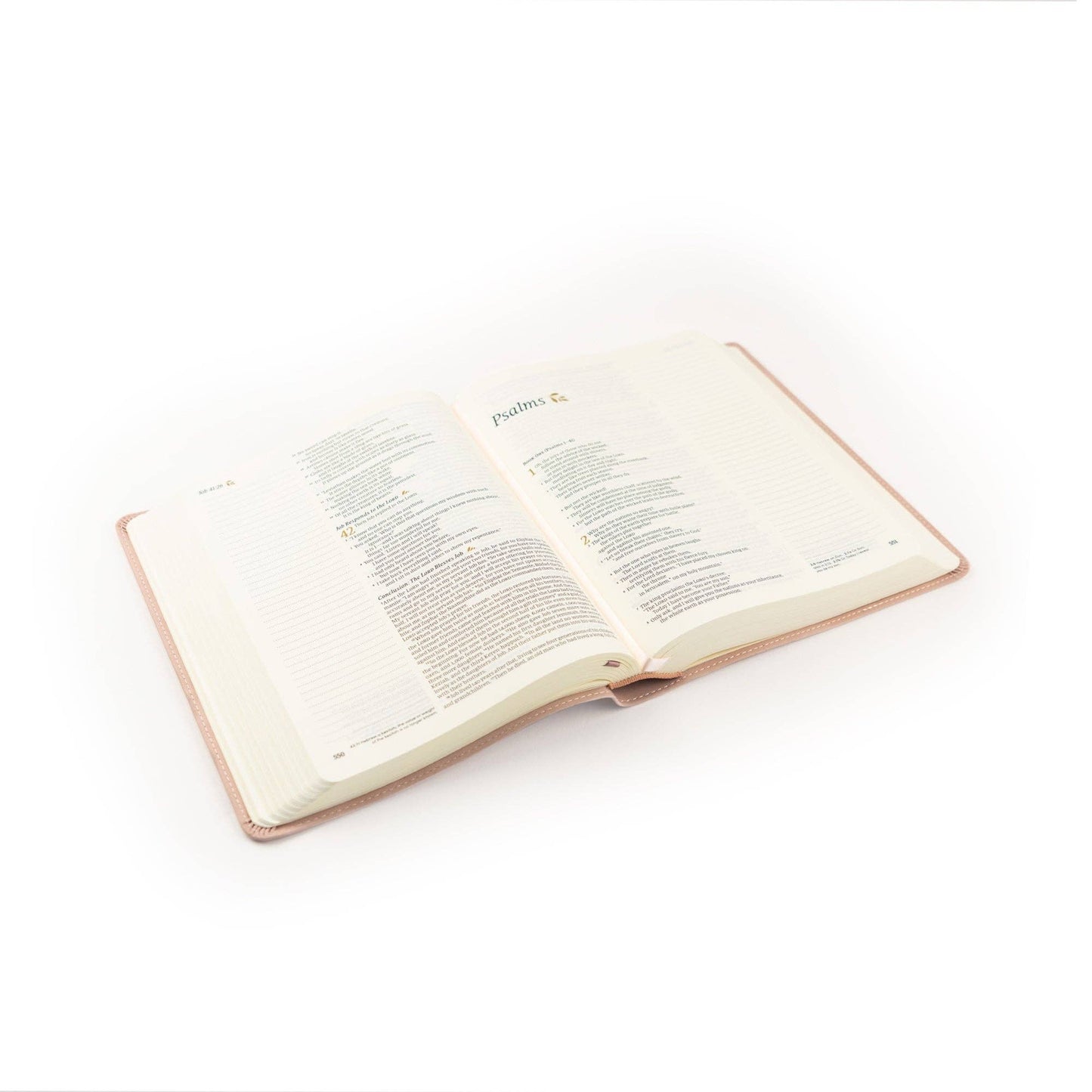 Shiloh Theme | NLT Notetaking Bible