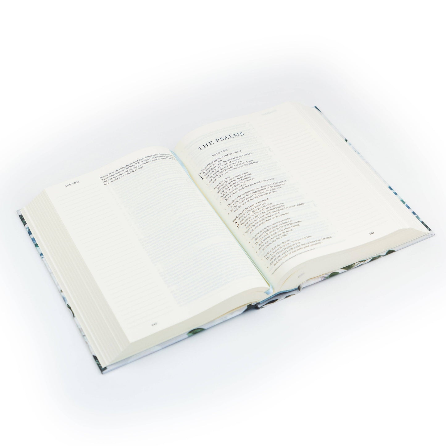 Victoria Theme | ESV Large Print Journaling Bible