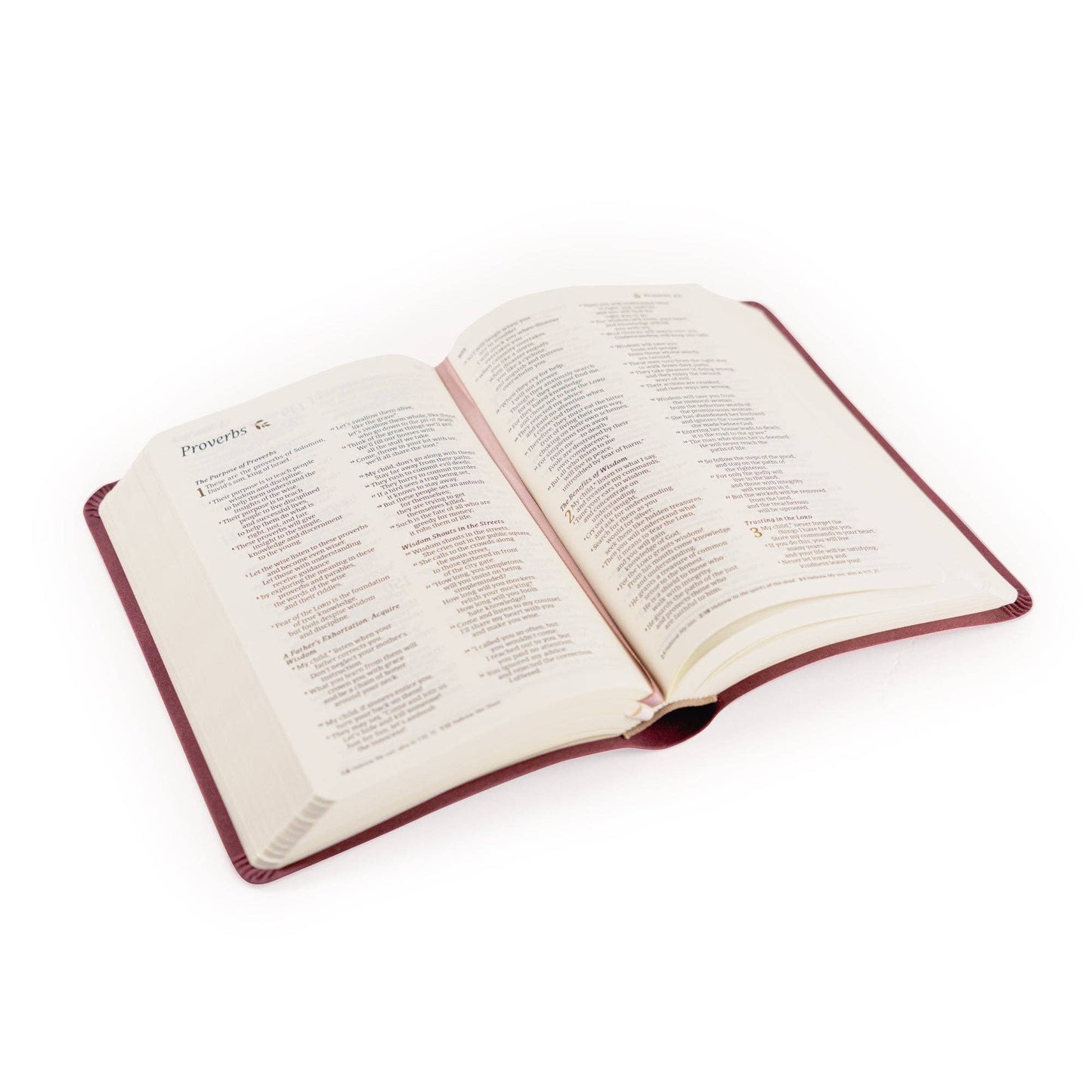 Helena Theme | NLT Compact Bible