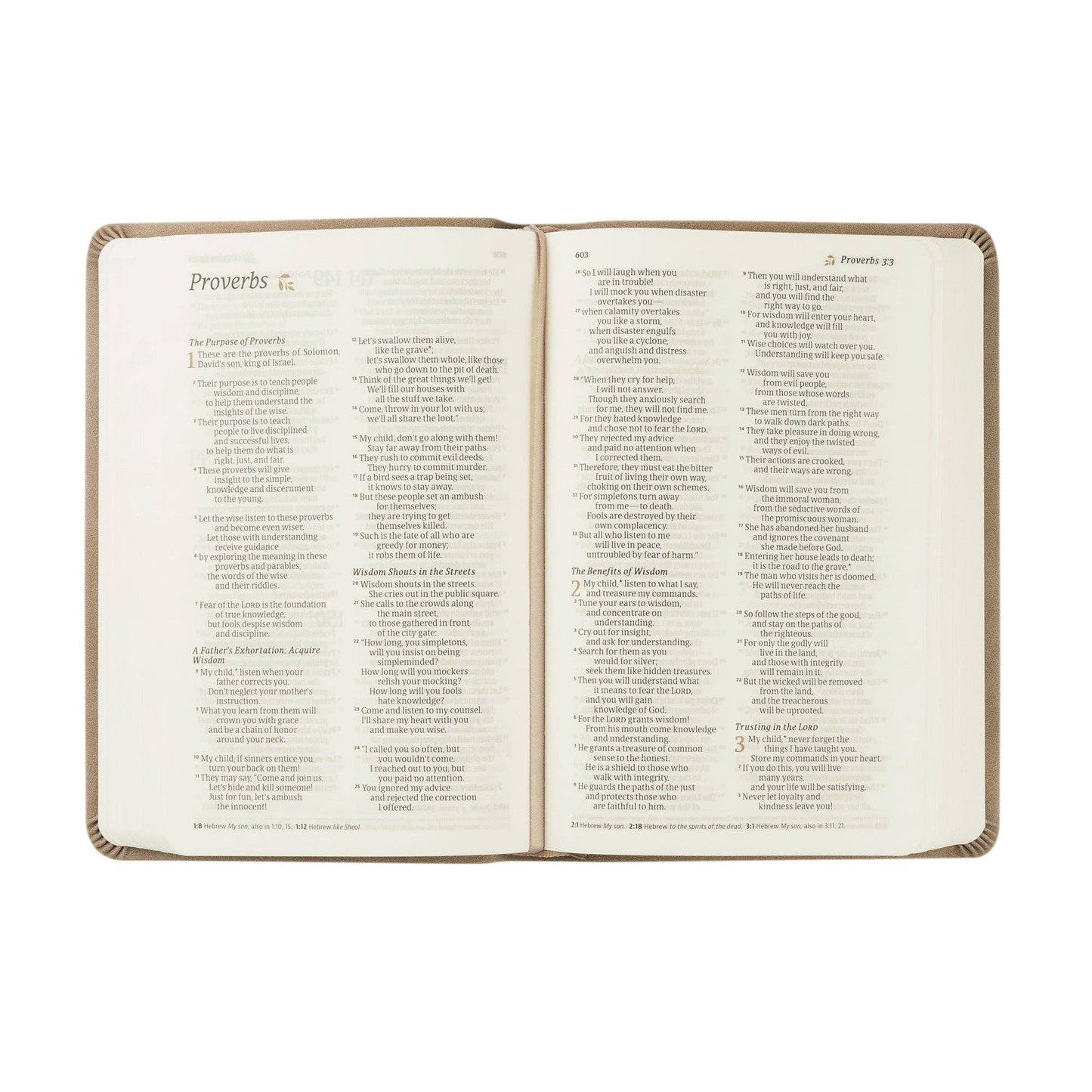 Marlo Theme | NLT Compact Bible