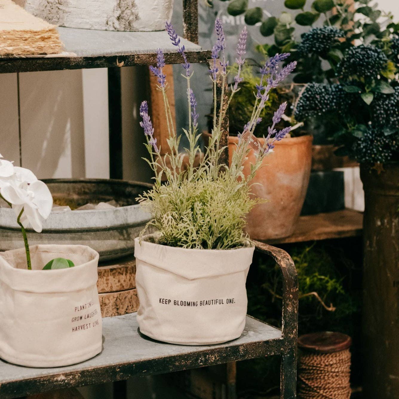 Keep Blooming Beautiful One - Large Canvas Planter