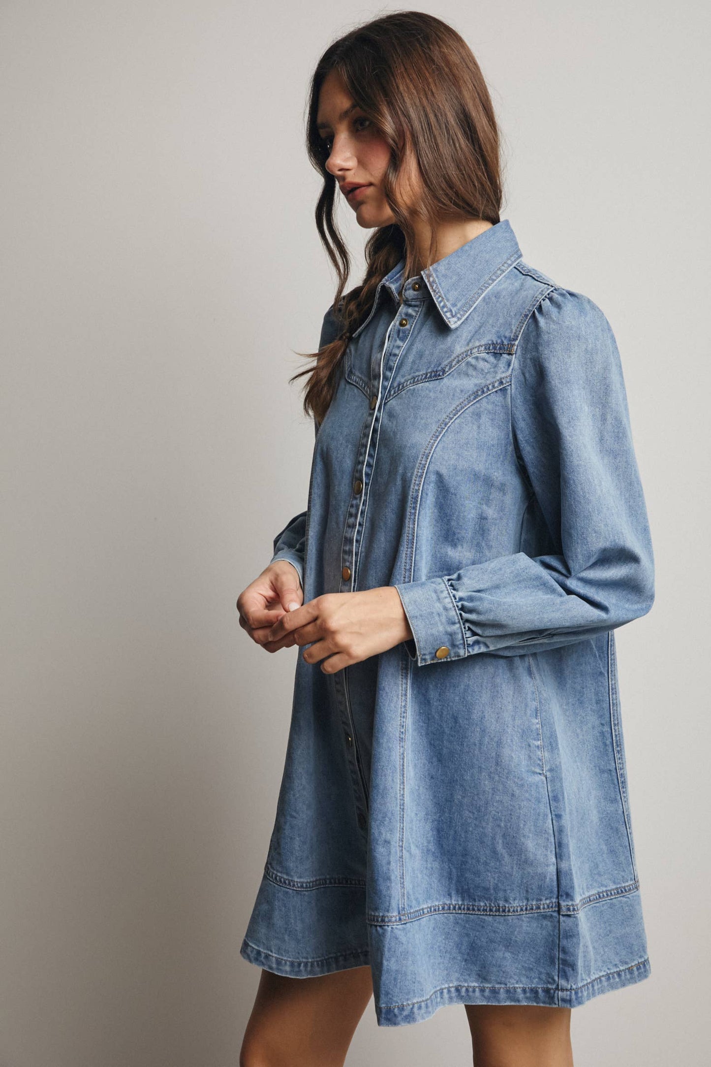 Freya Denim Dress | Medium Wash