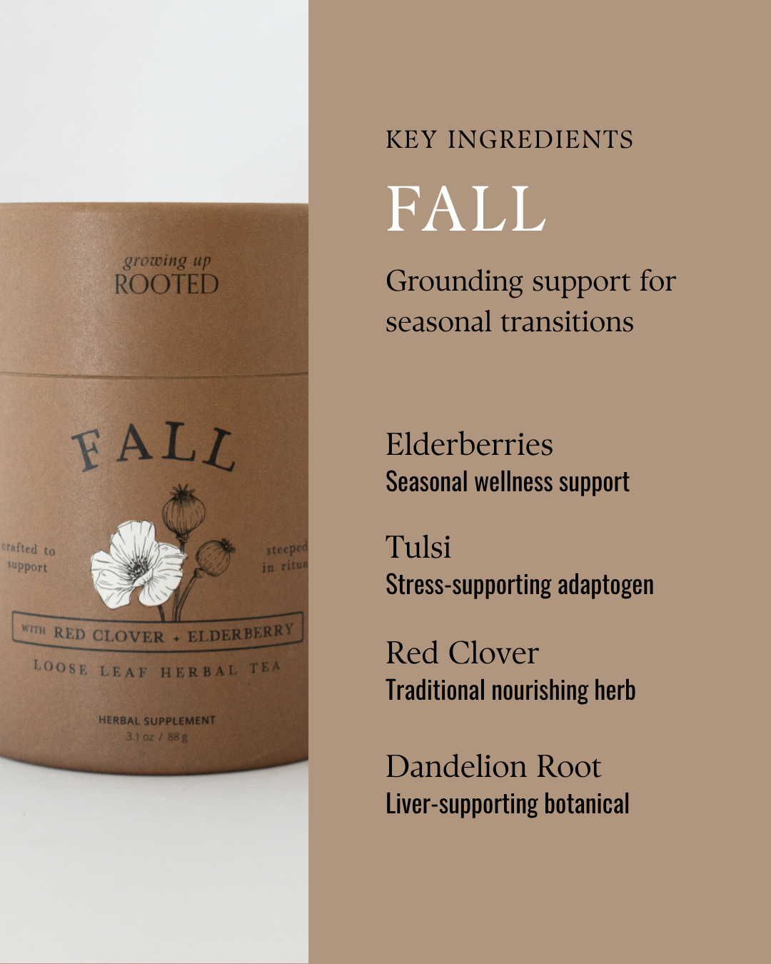 Fall Herbal Tea | Seasonal Nourishment & Immune Support