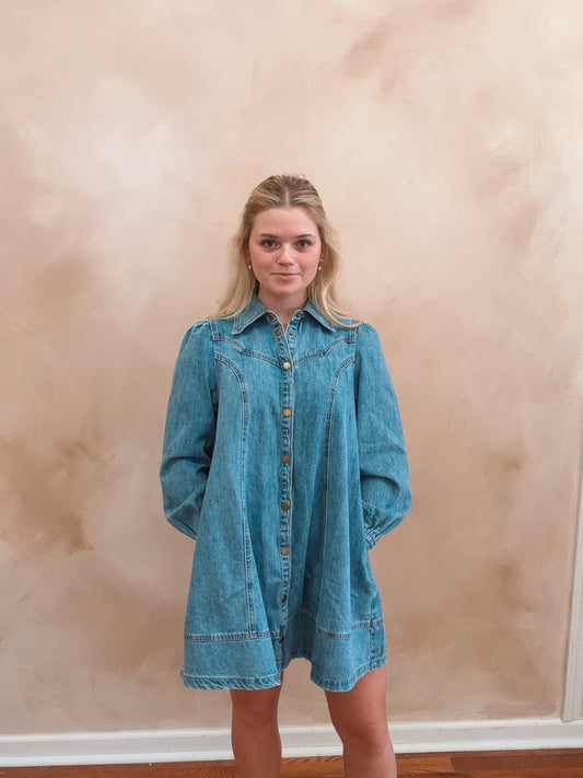 Freya Denim Dress | Medium Wash