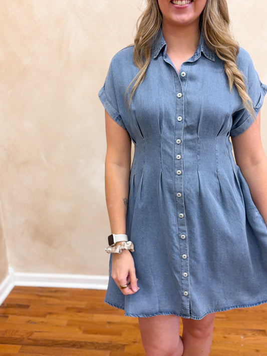Sofia Denim Dress