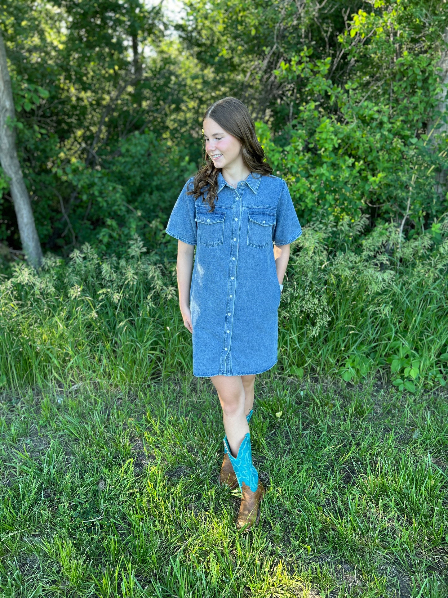 Claire Denim Dress