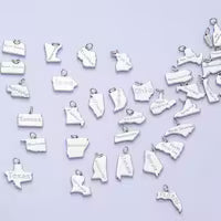 Nebraska State | Silver