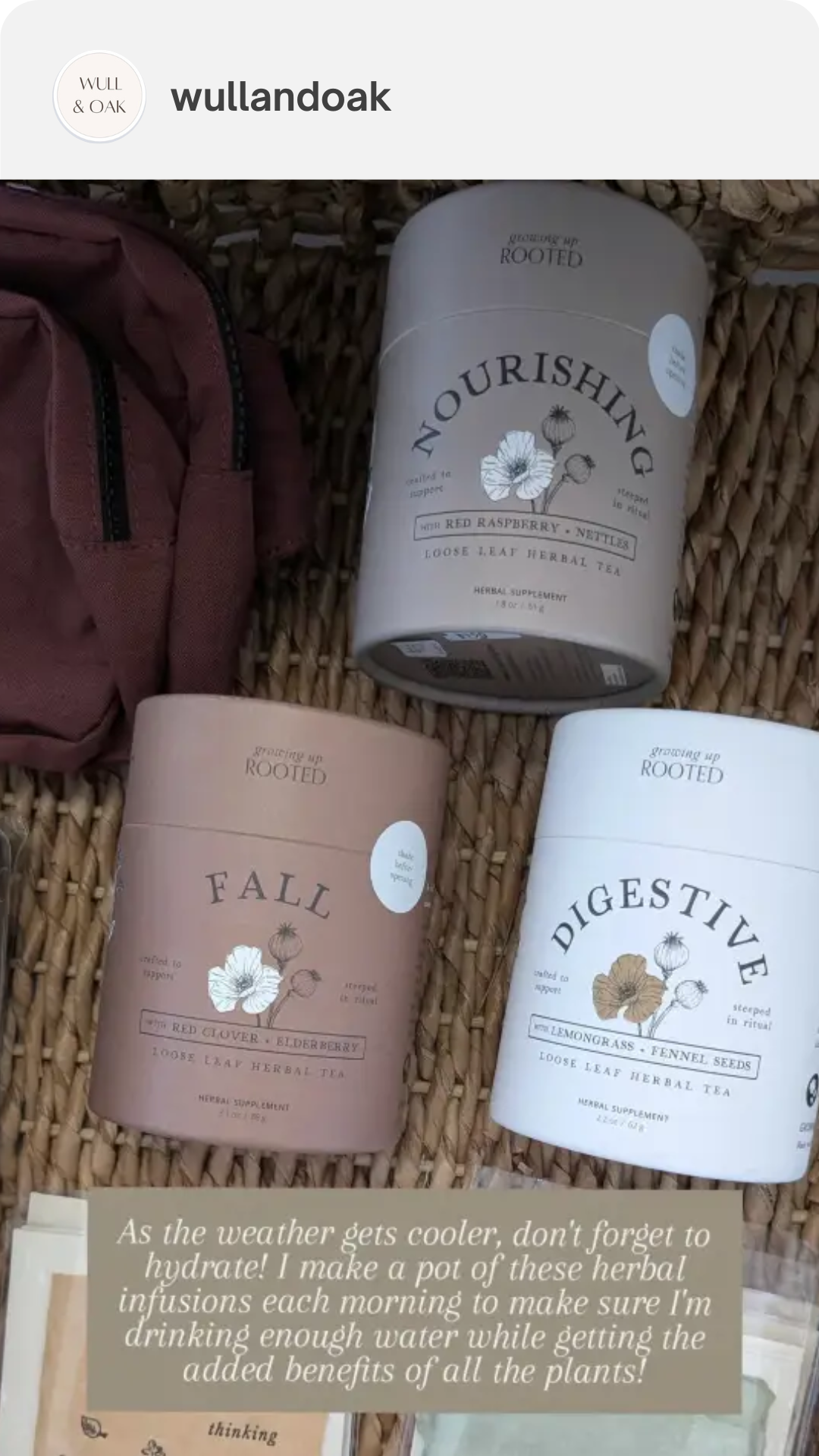 Fall Herbal Tea | Seasonal Nourishment & Immune Support