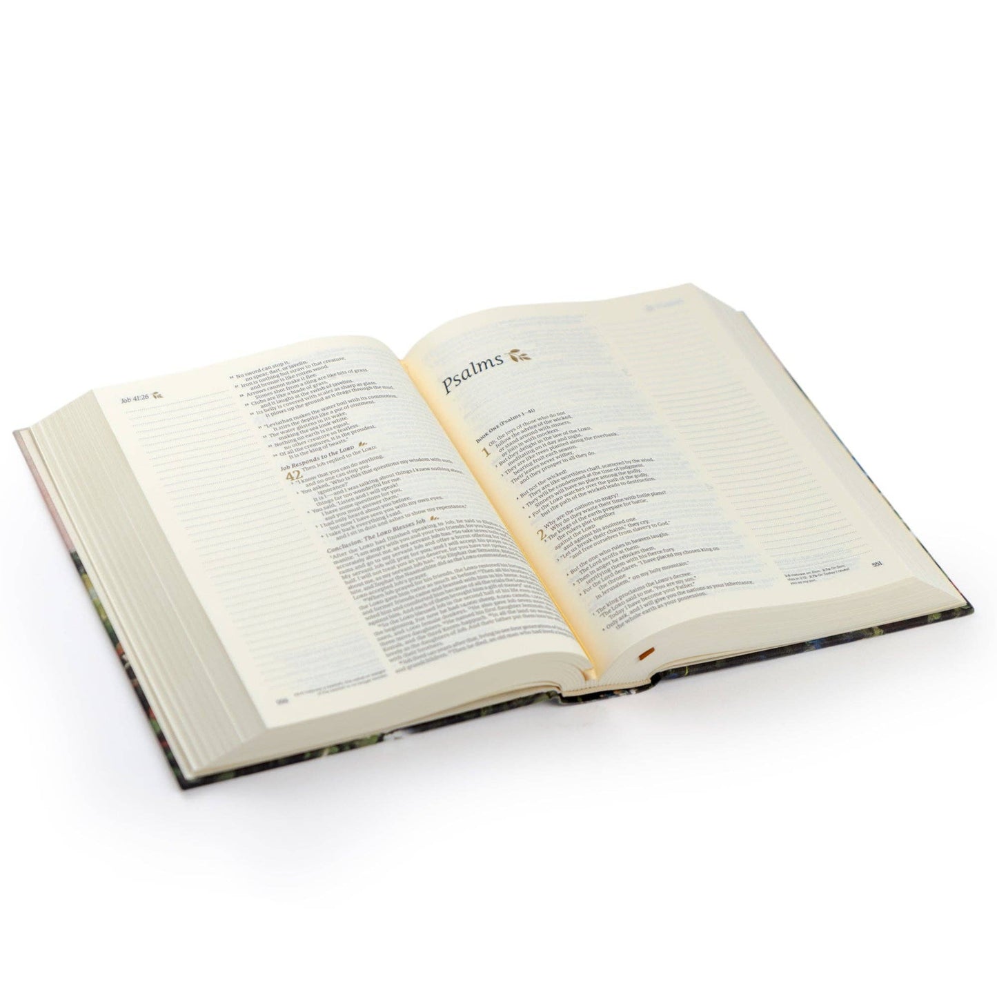 Coram Theme | NLT Notetaking Bible