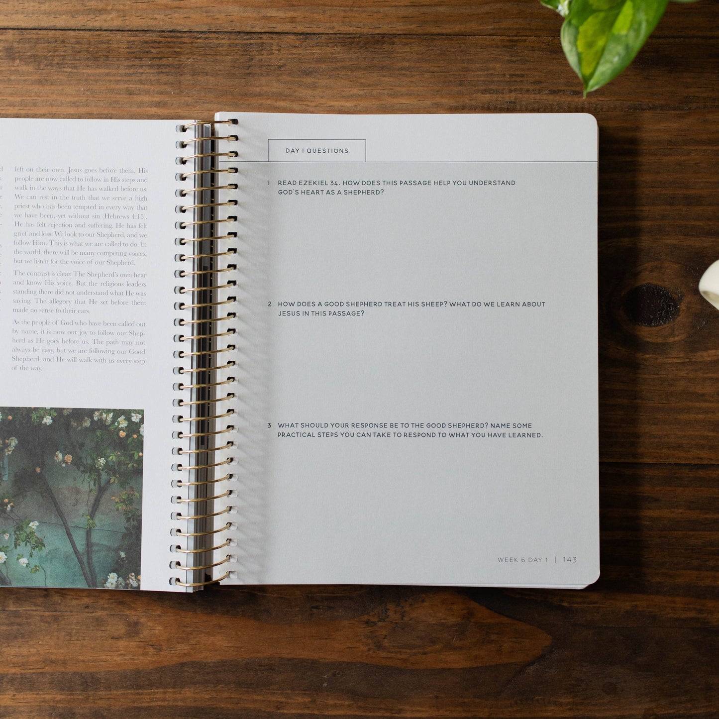 Come and See | An Invitation to Know and Trust Jesus More than Ever Before