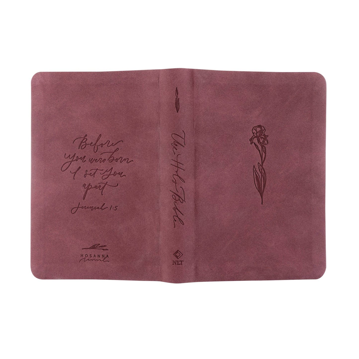 Helena Theme | NLT Compact Bible