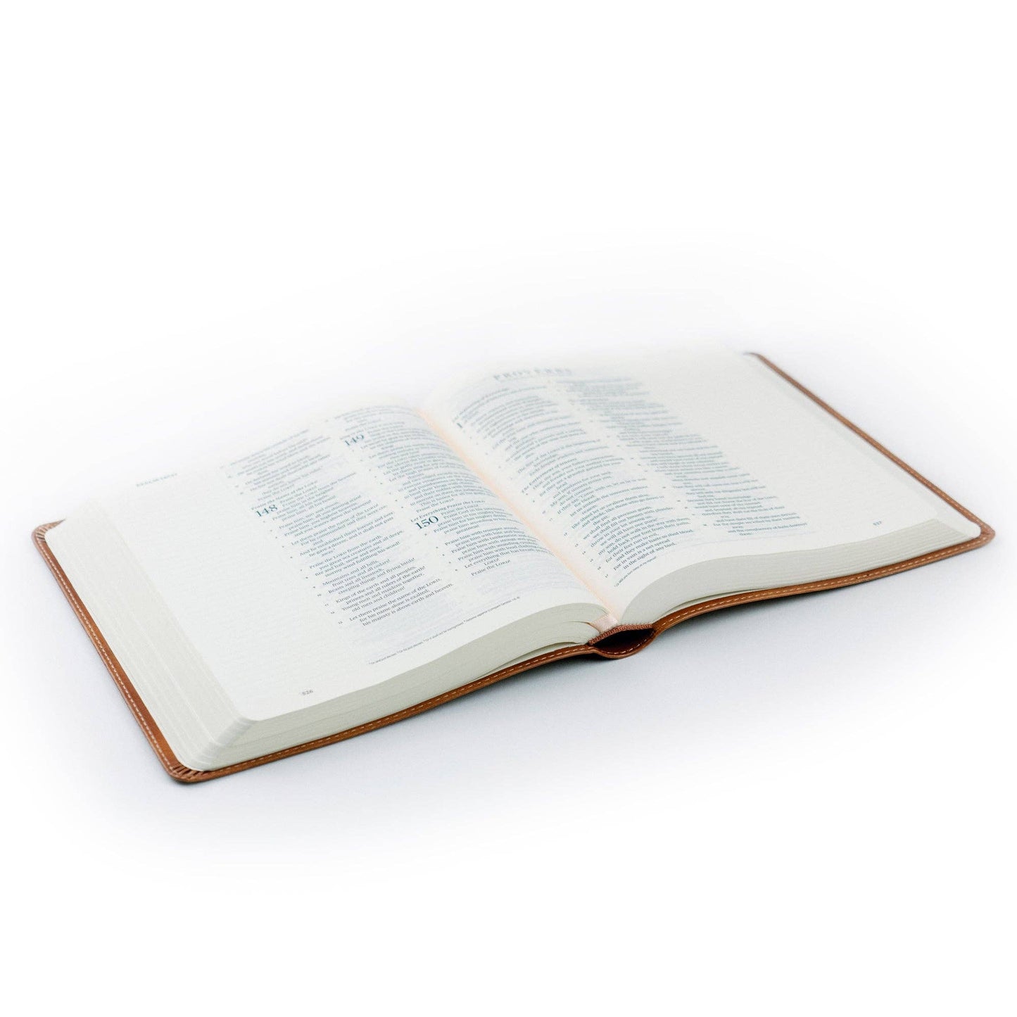 Sierra Theme Bible | ESV Journaling Bible