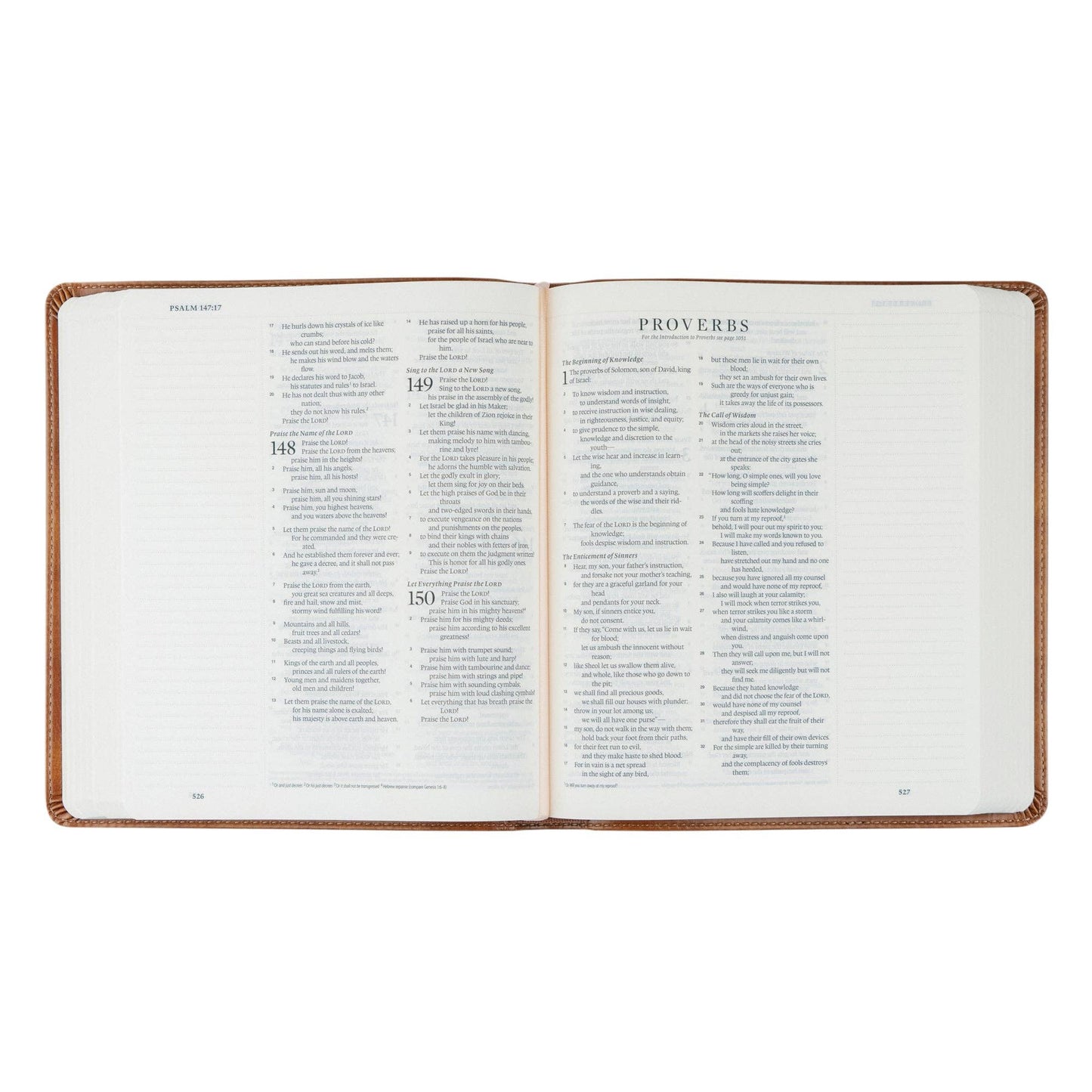 Sierra Theme Bible | ESV Journaling Bible