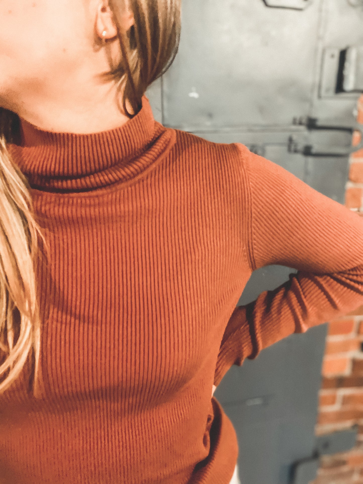 Ribbed Turtleneck | Terracotta